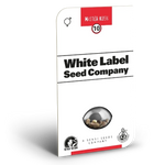 White Label, Master Kush Samen feminisiert 3 und 5 Stück
