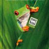 Das DMSO-Handbuch 