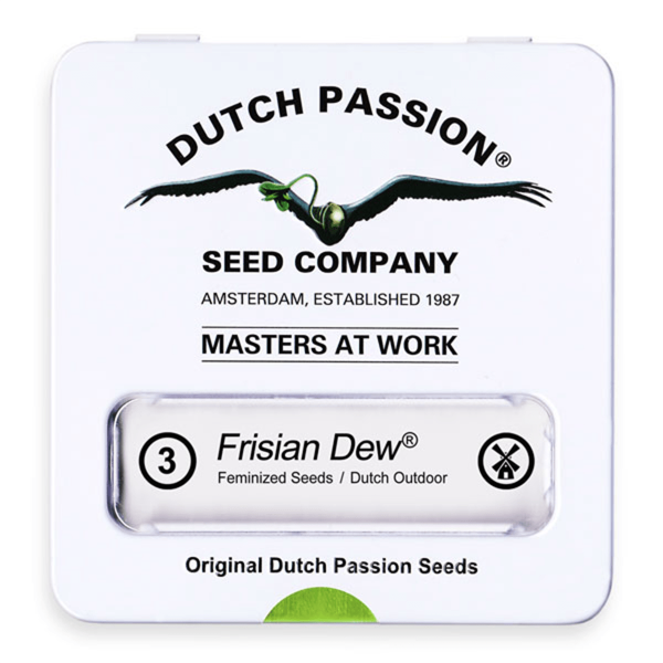 Frisian Dew, Samen 