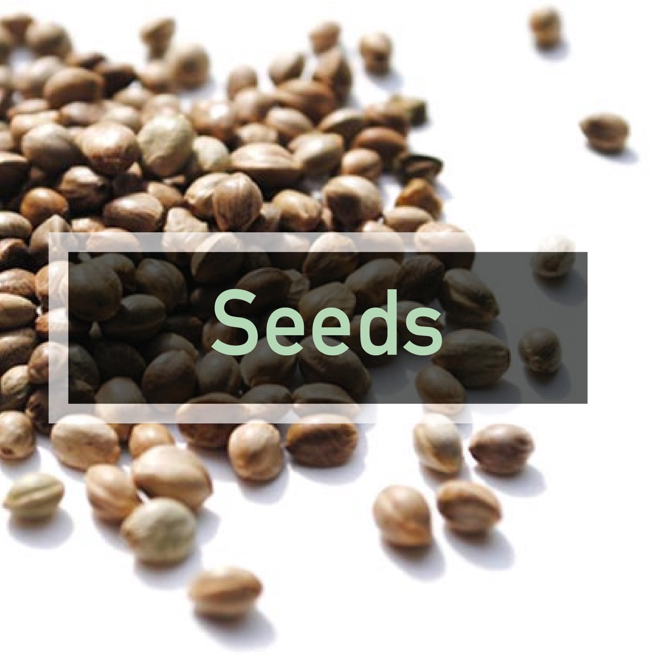 Seeds Banner