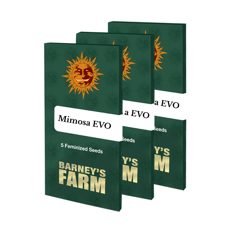 Mimosa Evo - Barneys Farm (feminisiert) 3/5/10 Stück