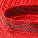 Mantrailing Leine – Perfekt für Abenteurer