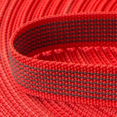 Mantrailing Leine – Perfekt für Abenteurer