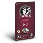 Sensi Seeds Big Bud Samen feminized 3 oder5 oder 10 Sück