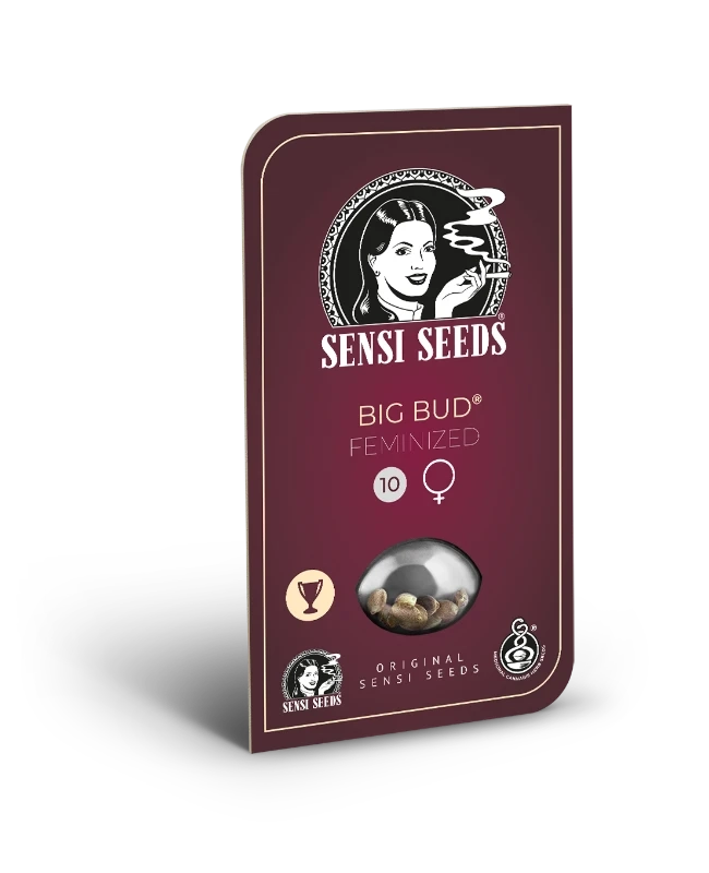 Sensi Seeds Big Bud Samen feminized 3 oder5 oder 10 Sück