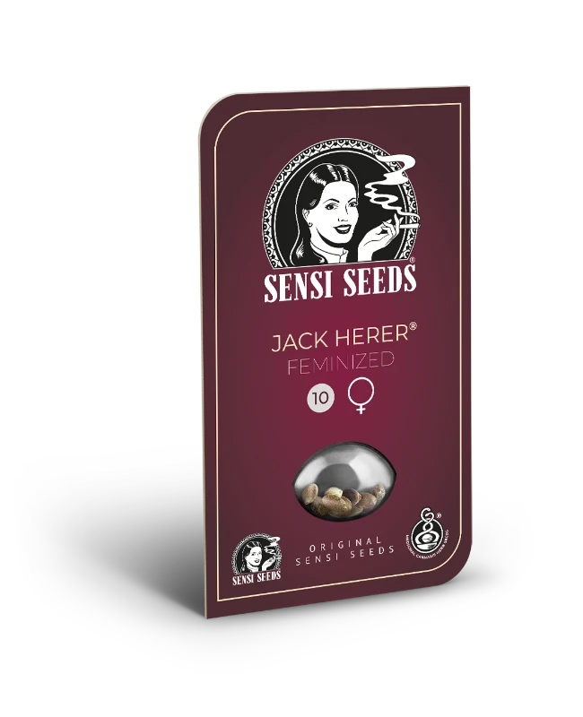Sensi Seeds  Jack Herer Samen feminized 3 oder 5 Stück 