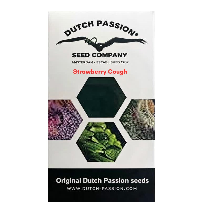 Strawberry Cough Feminisiert - Dutch Passion