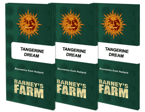 Tangerine Dream Samen 