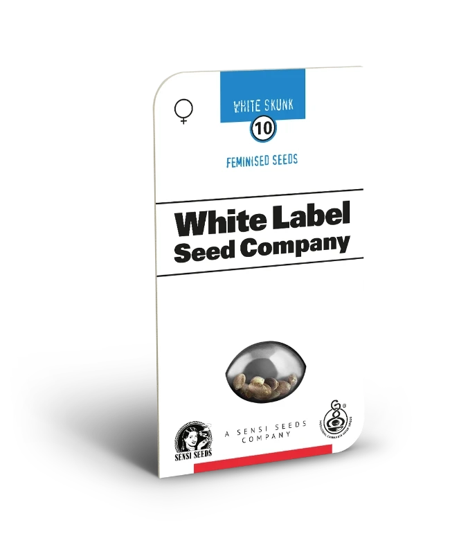 White Label, White Skunk Samen feminisiert  3 oder 5 Stück