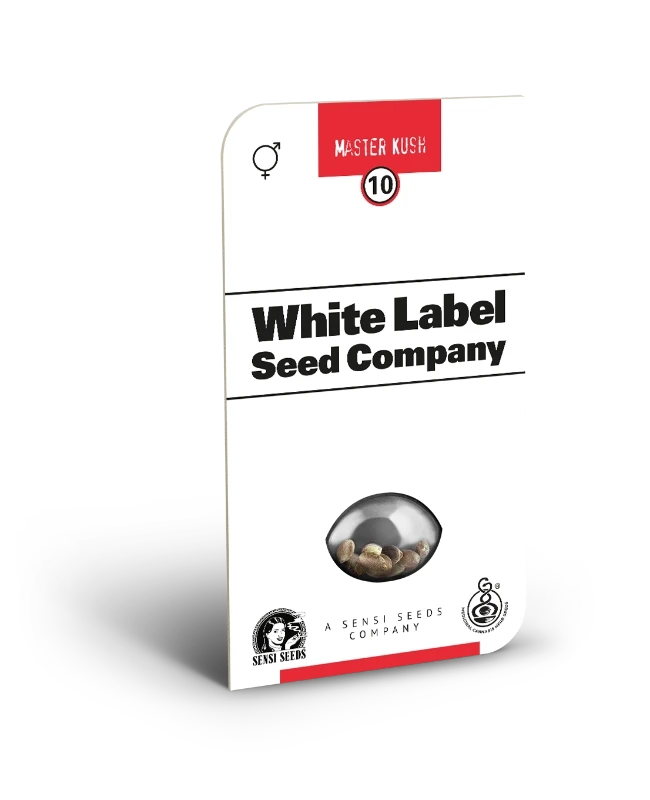 White Label, Master Kush Samen feminisiert  3 und 5 Stück