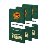 Liberty Haze Samen 
