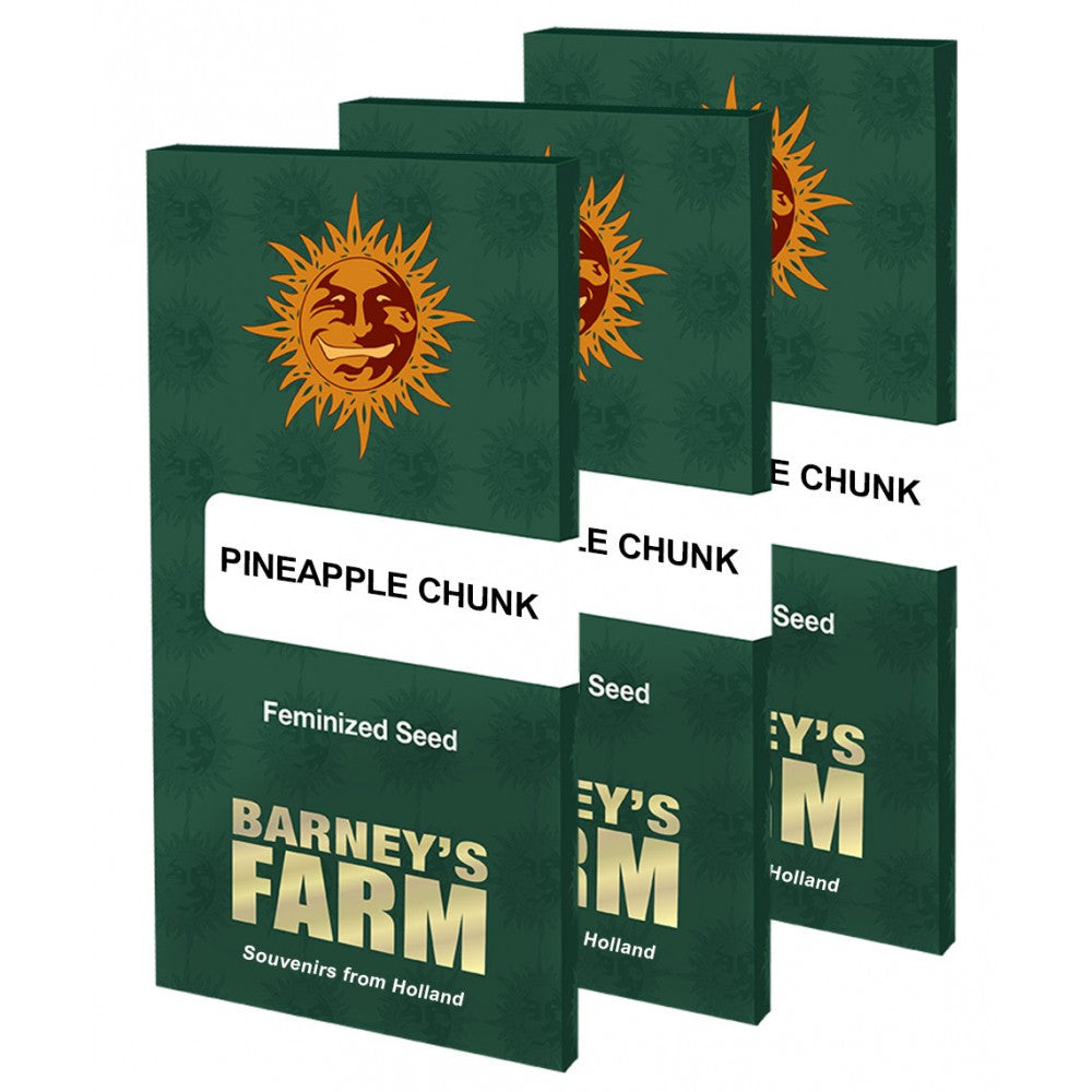 Pineapple Chunk Samen 