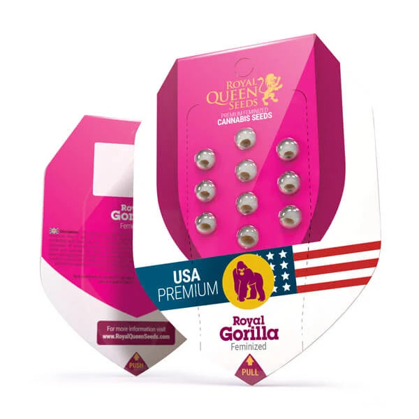 Royal Gorilla Samen