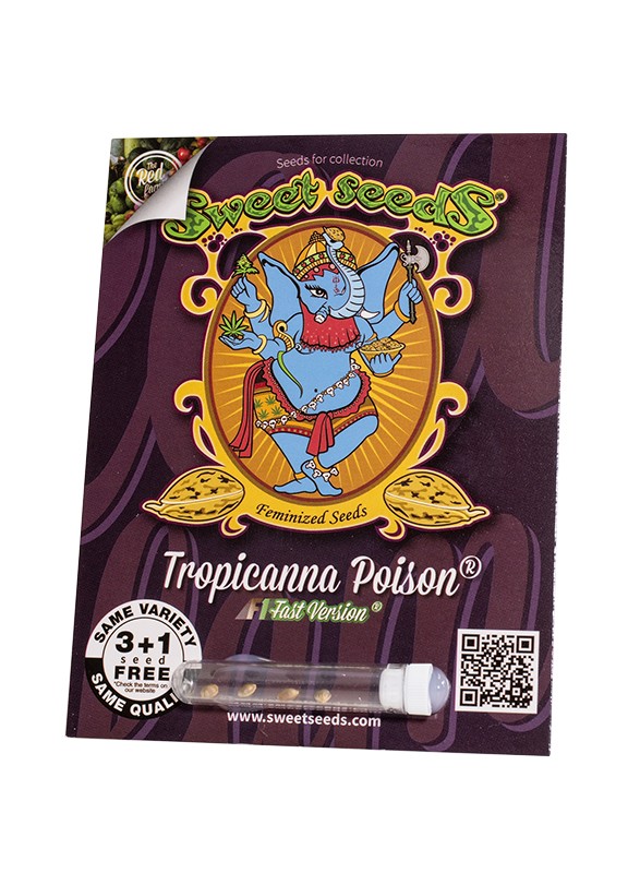 Tropicanna Poison F1 Fast Version